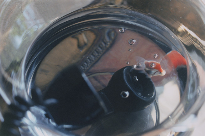 Works 2014 portfolio YOSHIHIKO UEDA 上田義彦